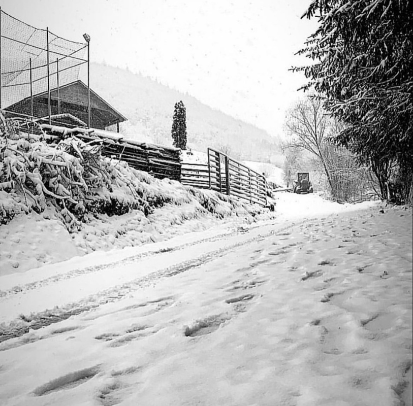 Cabana Poarta Muntilor - cazare in Valea Ierii