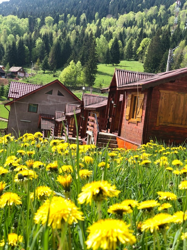 Cabanutele Munteanu - cazare in Lacu Rosu