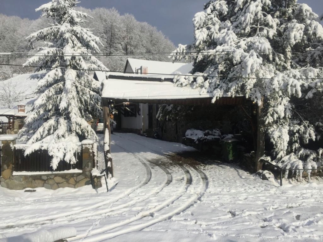 Pensiunea Cerbul - cazare in Valea Dobarlaului