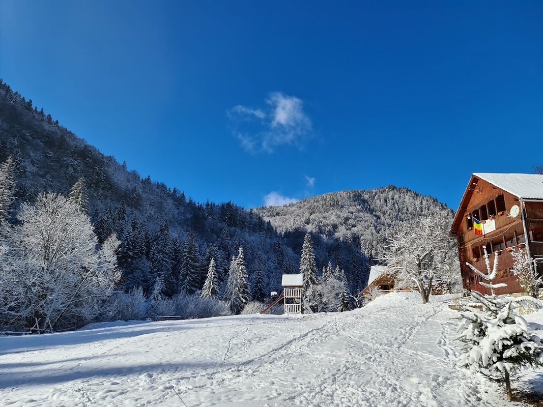 Cabana Bunicilor - cazare in Rachitele