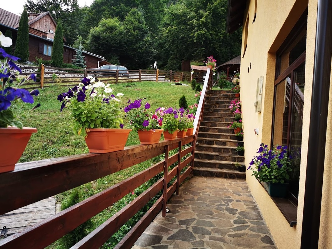 Casa Codrilor - cazare in Lacu Rosu