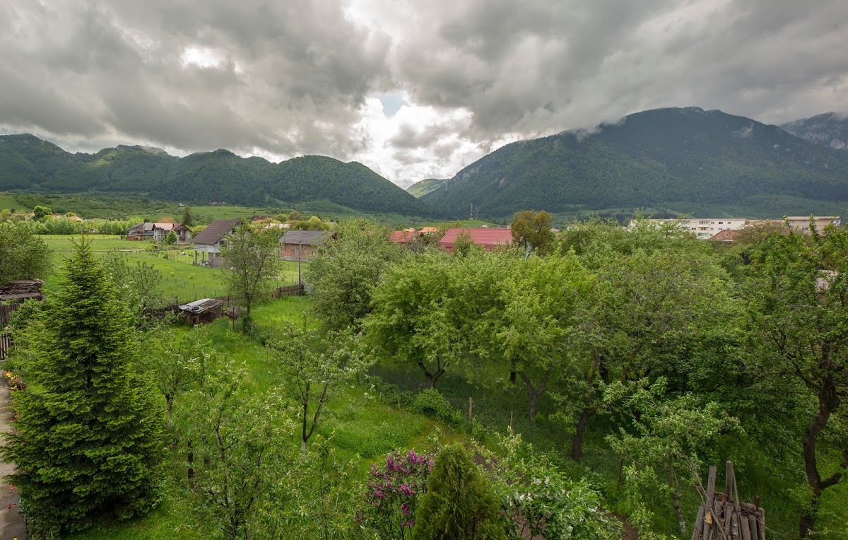 Pensiunea Carmi House - cazare in Zarnesti